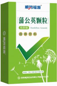 蒲公英顆粒